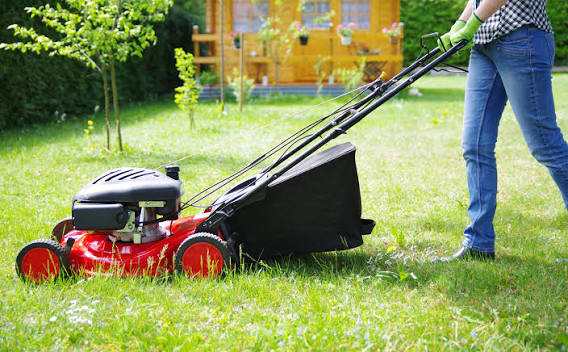 Lawn Care